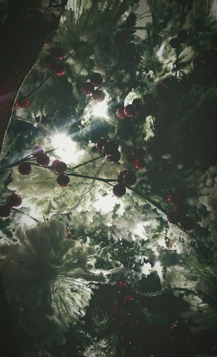 Xmas Tree 