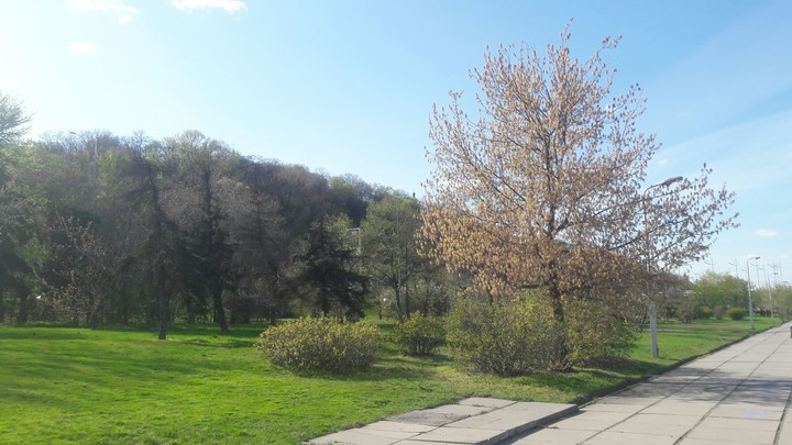 nature