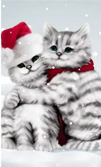 котики ?