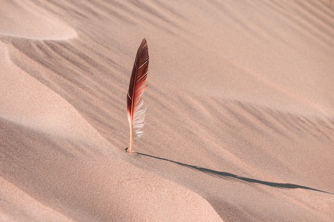 тапети feather, erg