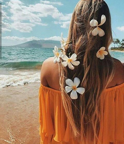 sea and you!