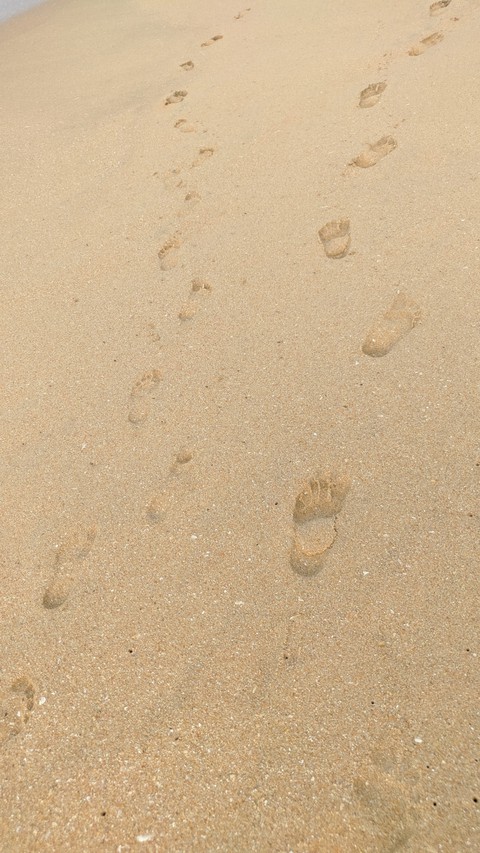 Foot Prints