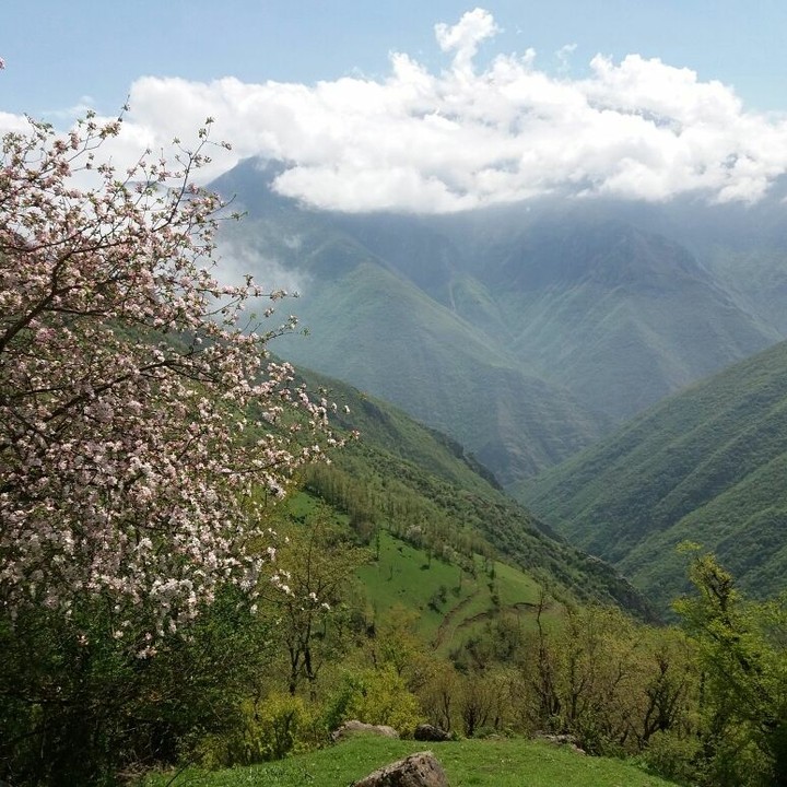 #iran #mazandaran #chalus