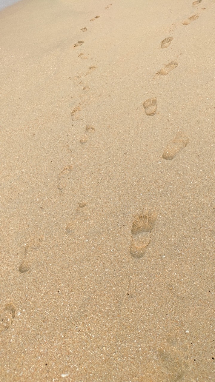 Foot Prints