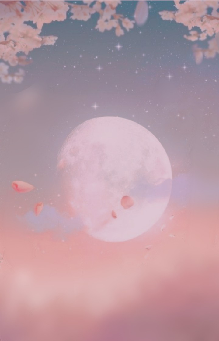 예쁜 달