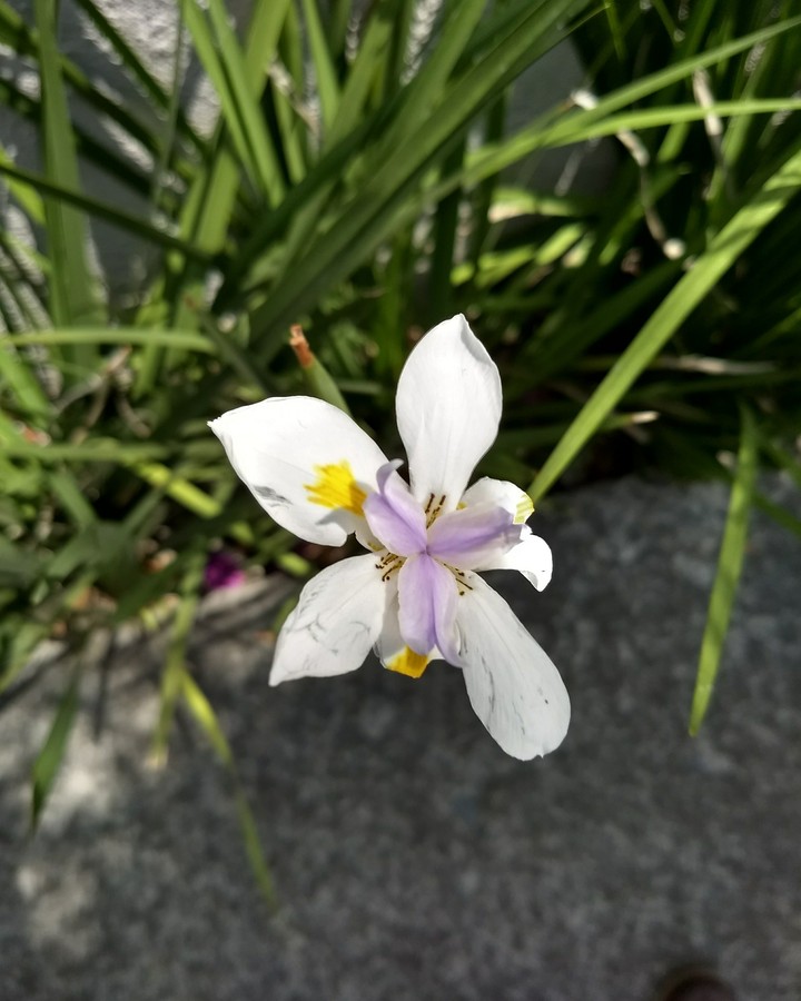 April
