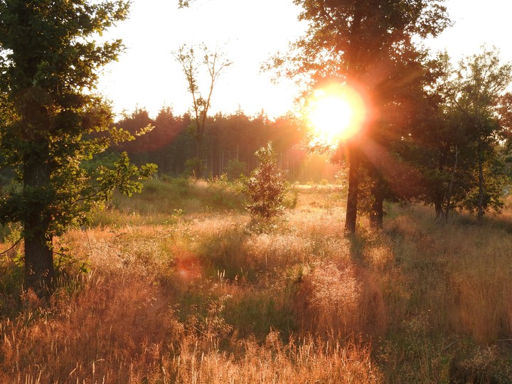 sunrise