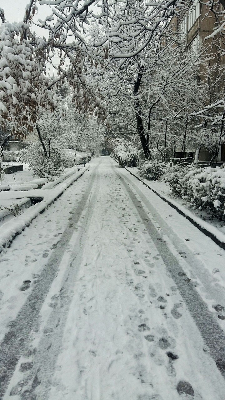 Let It Snow.