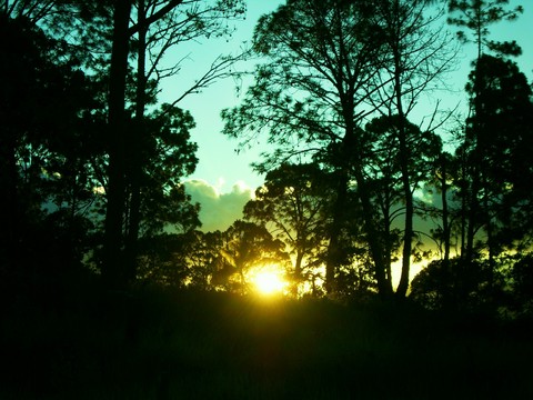 sunset
