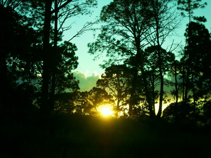 sunset
