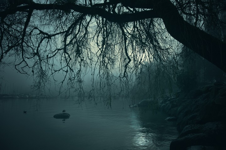 The Dark Lake