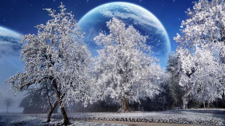 A  Magical Winter