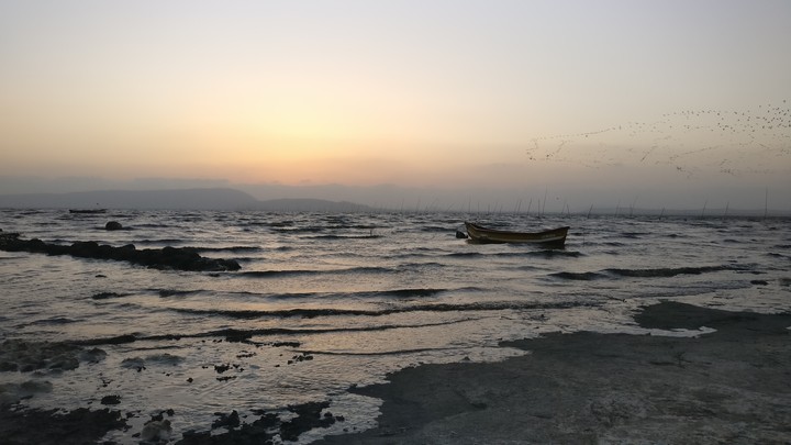 Seashore