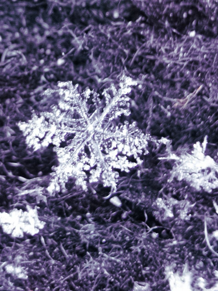 ice