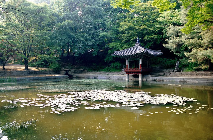 여행