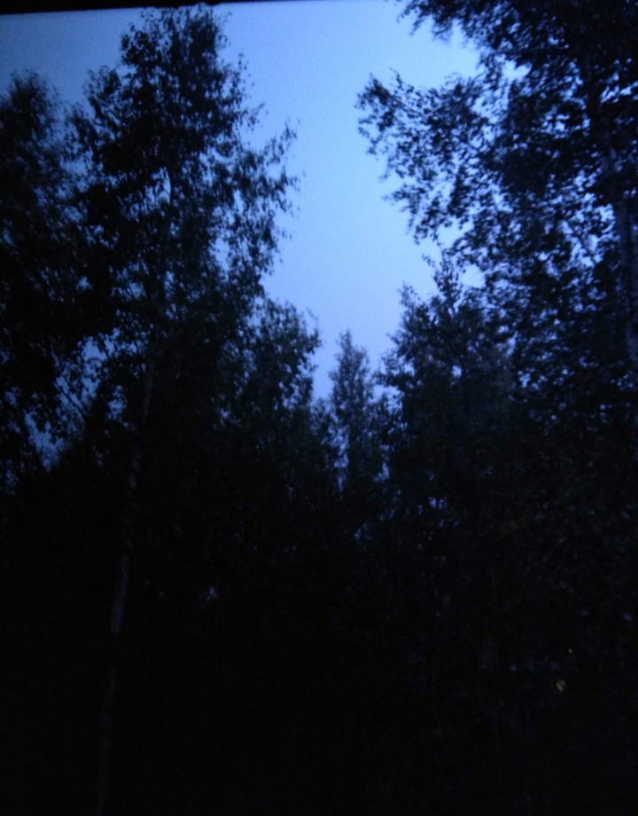 Ночь. Гроза.