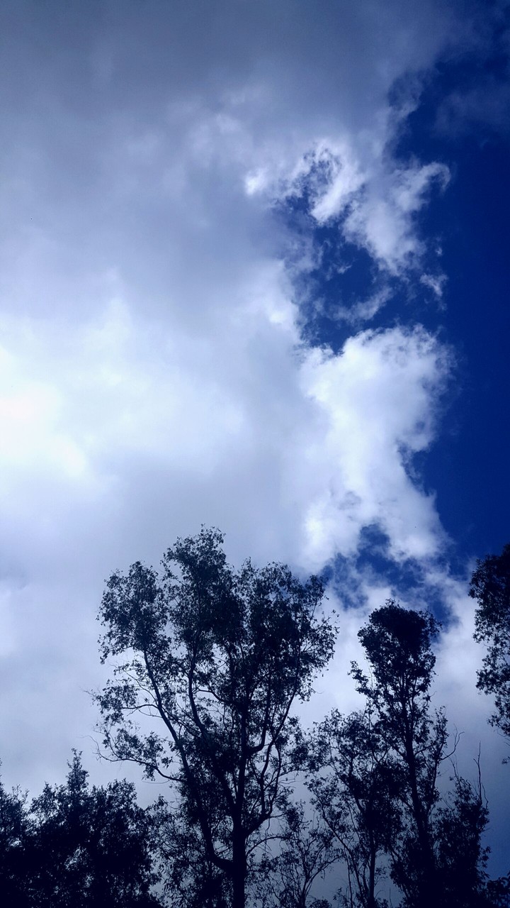 the sky of Rome