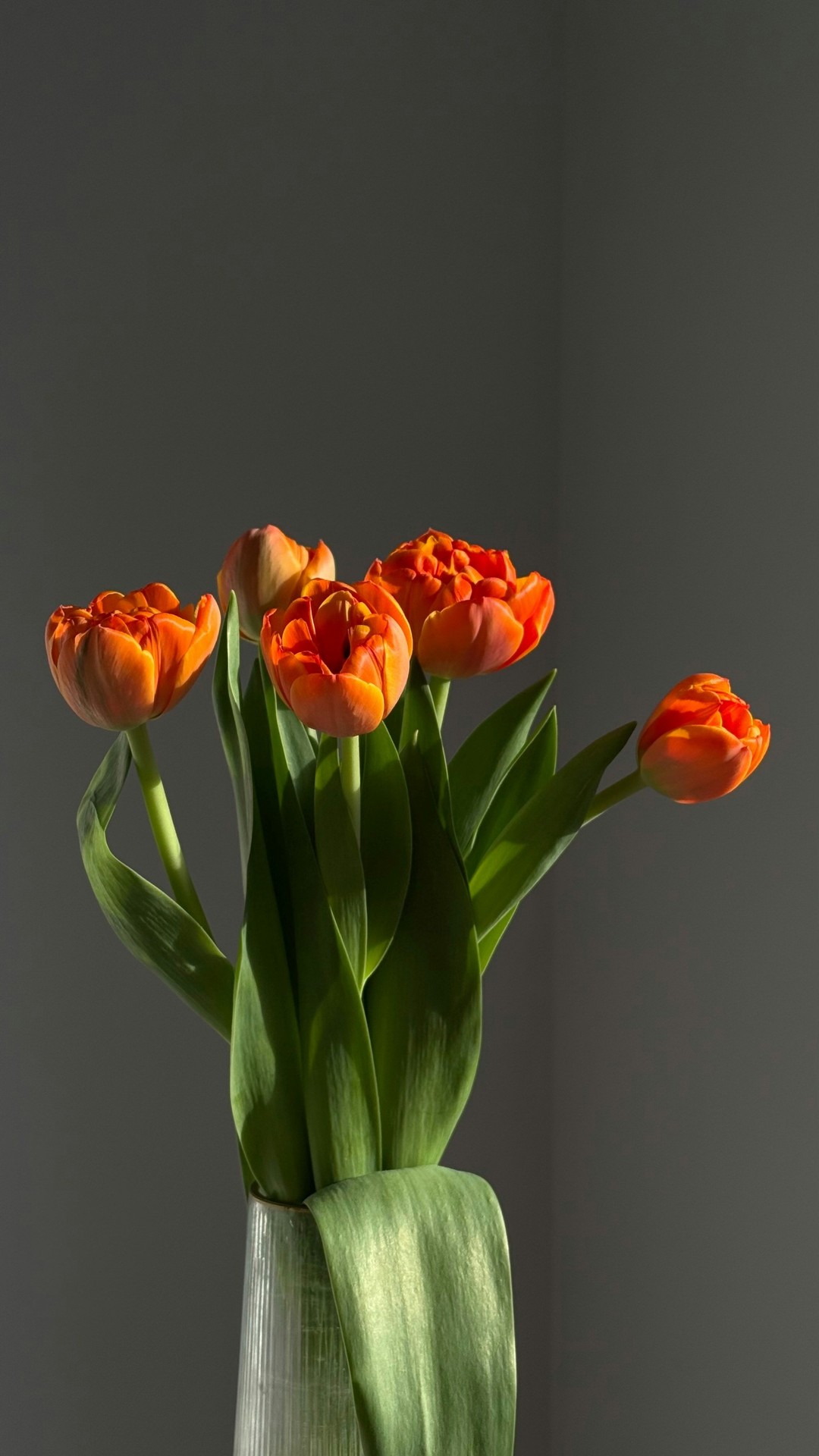 обои Yellow, Orange
