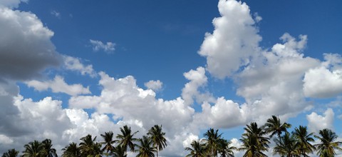 tree, clouds壁纸