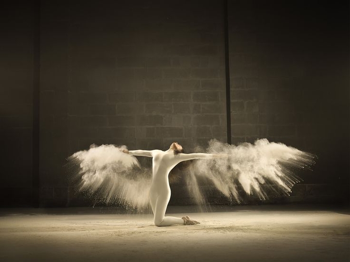 freedom