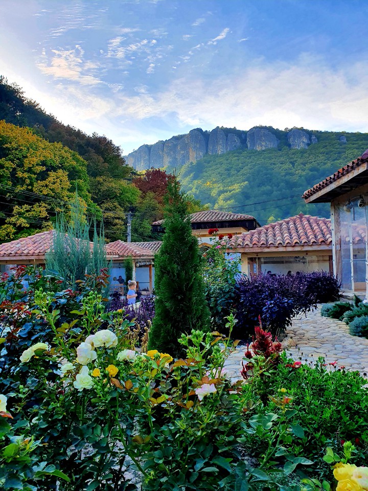 garden