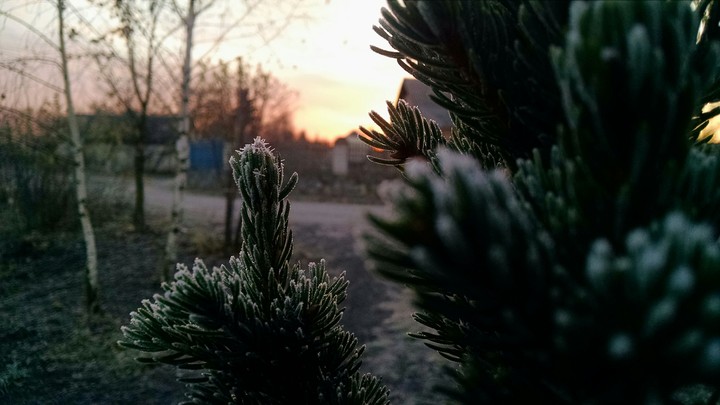 new year