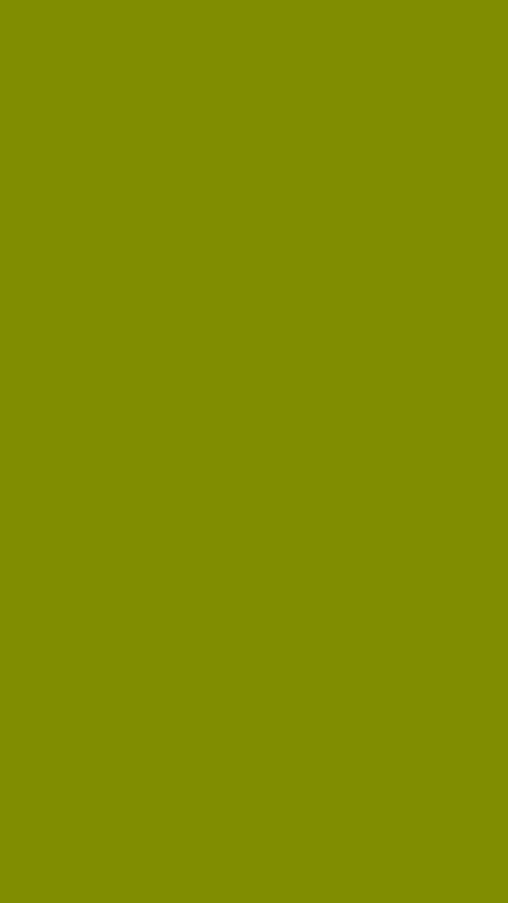 Dark green / Хаки (Тёмно-зелёный)