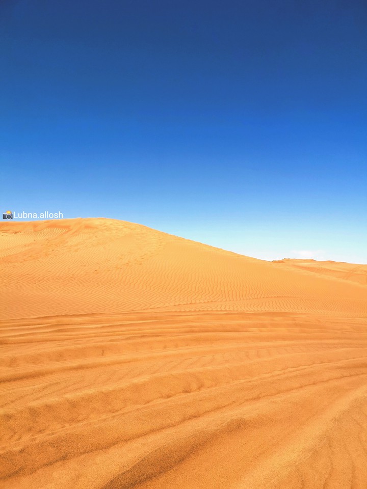 Desert