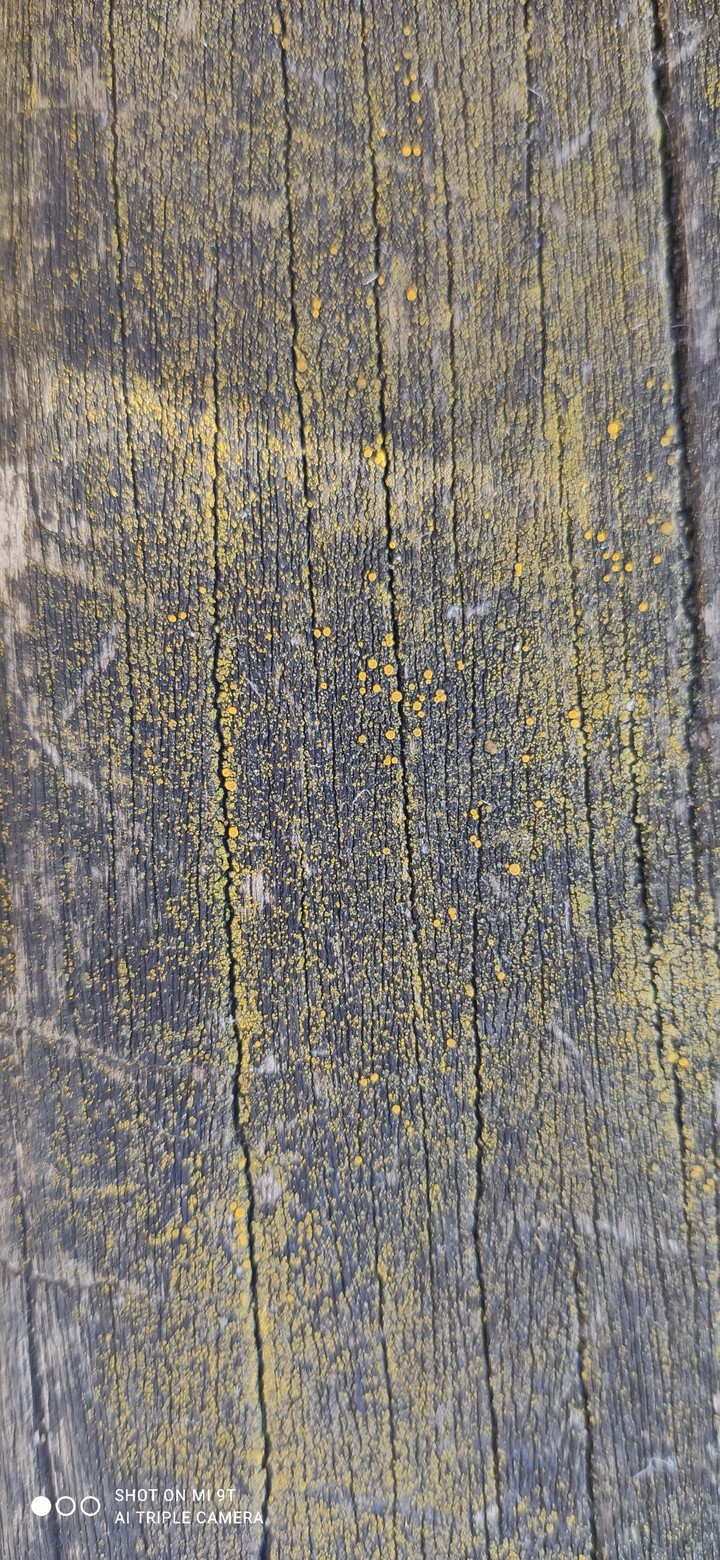 textures