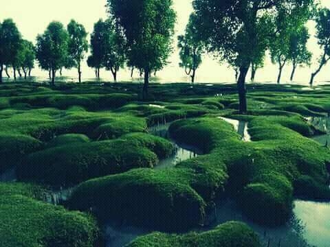 Nijhum deep