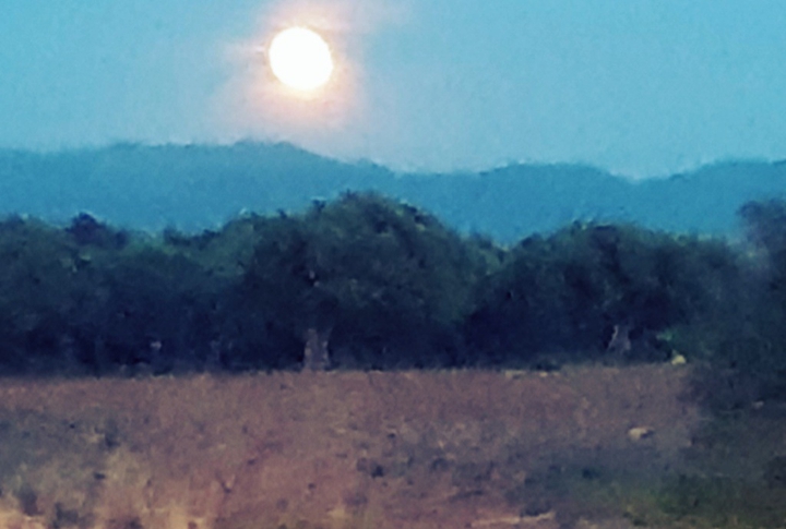 Chiaro di luna