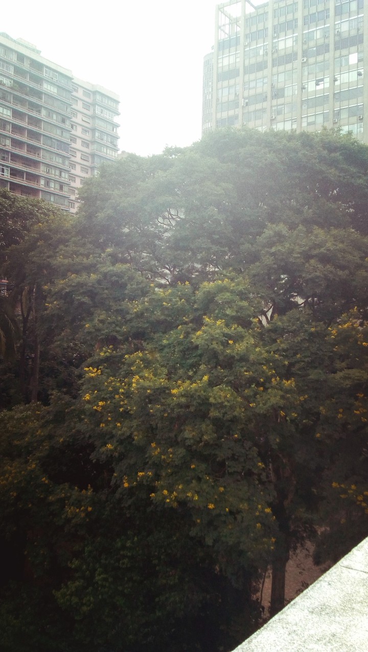 São Paulo 26/03/2018