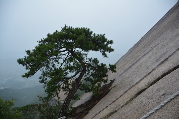 수락산이미지