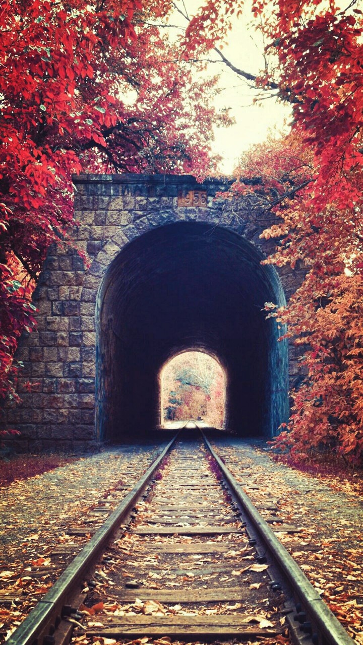 Autumn tunel