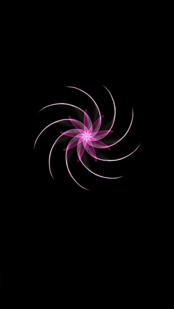 Artistic flowers 334