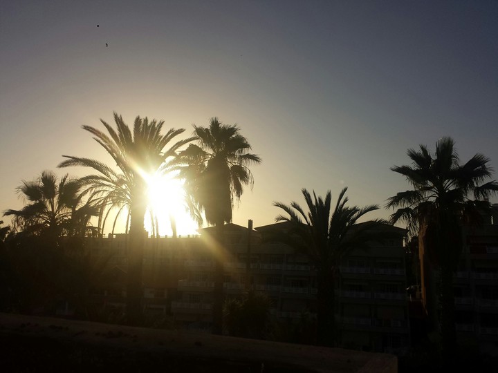 sunset
