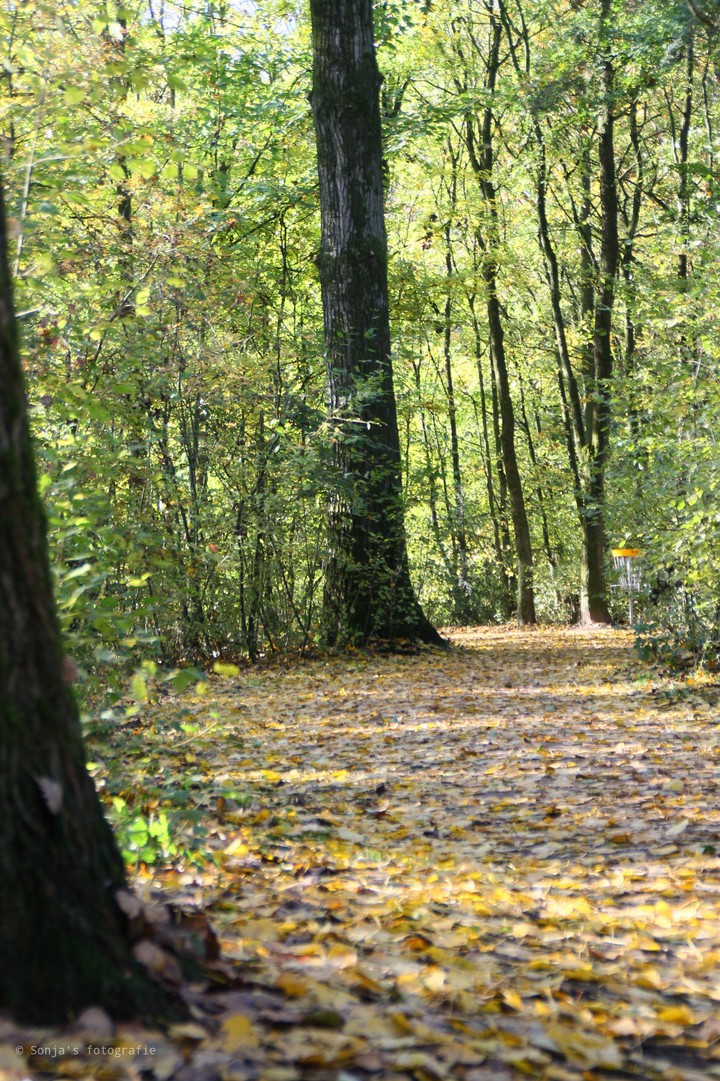 autumn