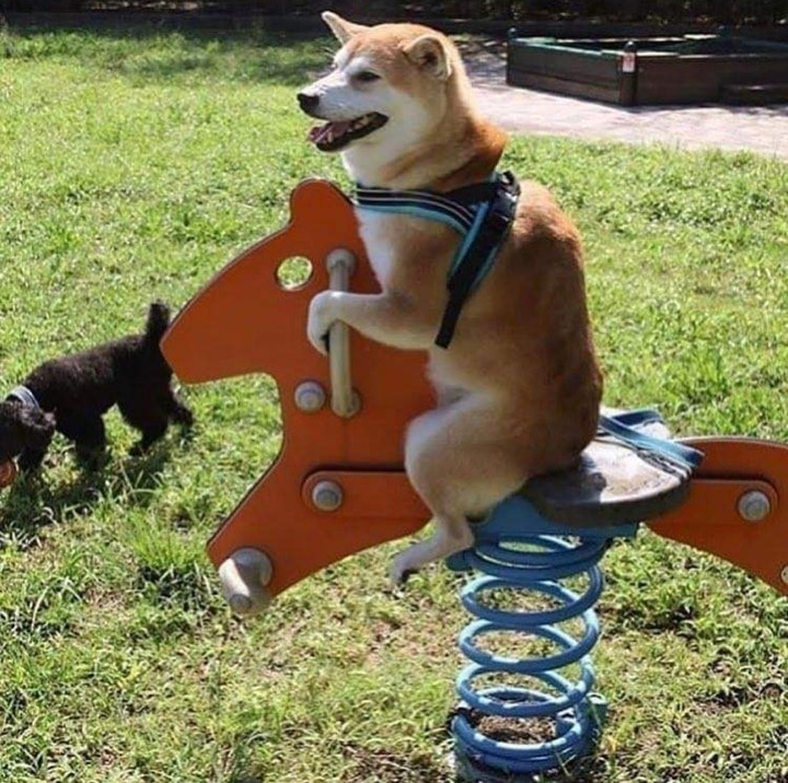 On the playground