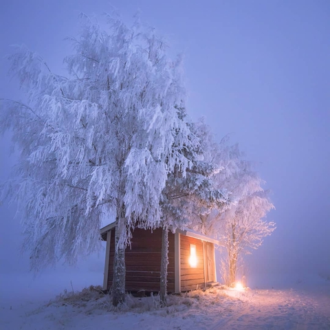 тапети secluded, twig