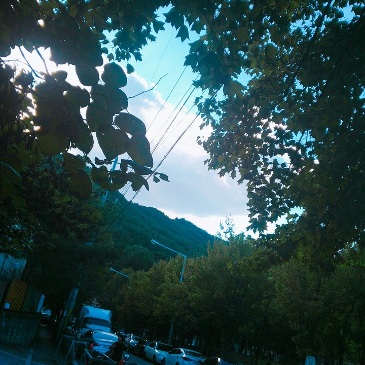 sky