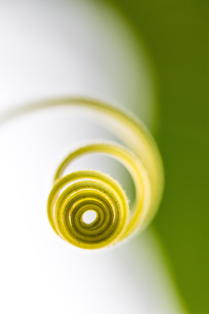 Green spiral coil