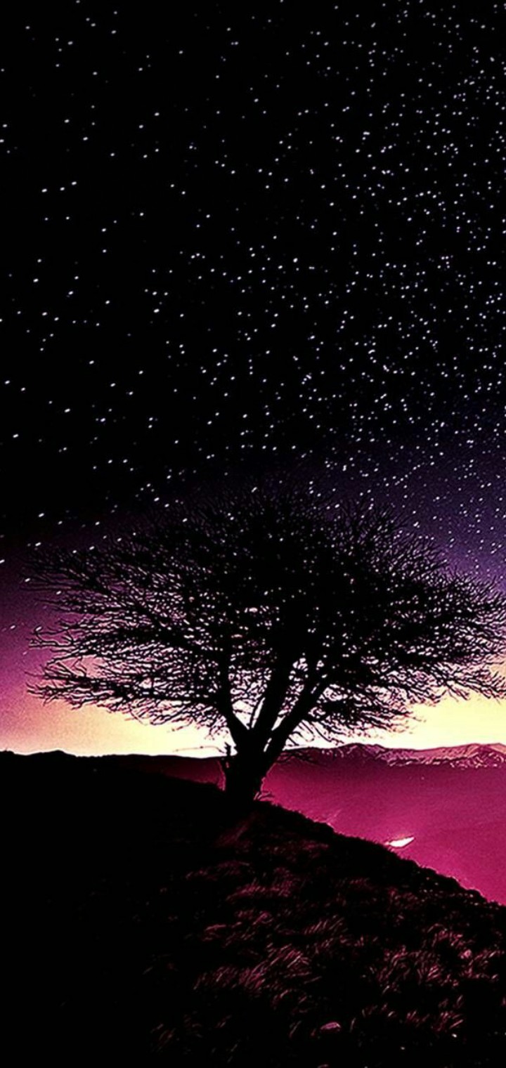 trees