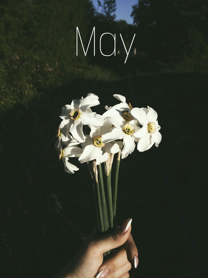 may
