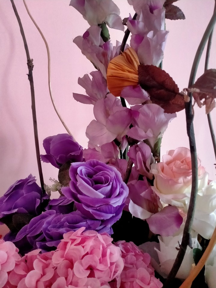 blommy flowers