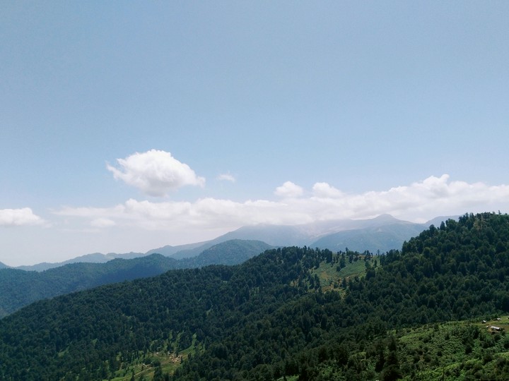 clouds   with. many trees