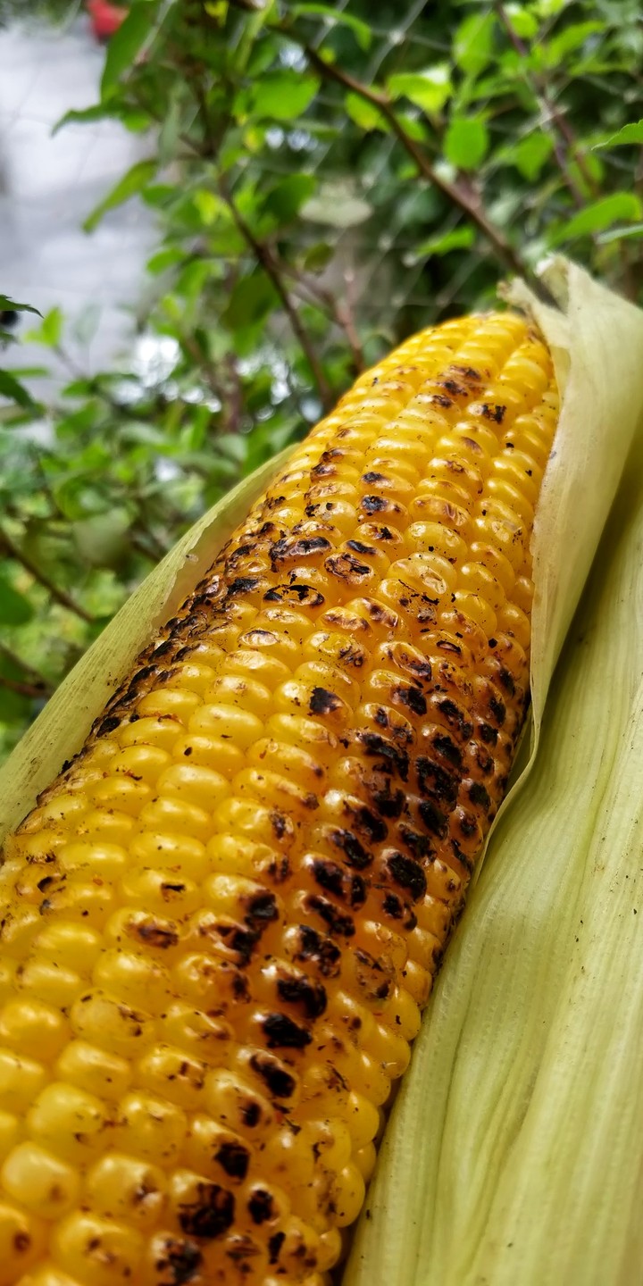 corn
