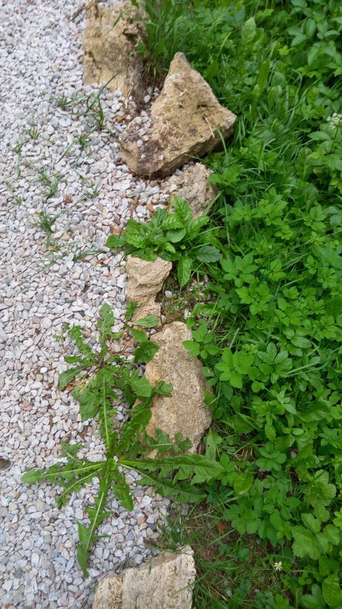 hình nền soil, slovakia