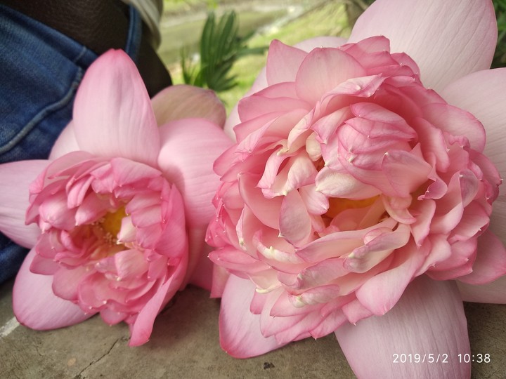 click by me