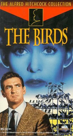 The birds