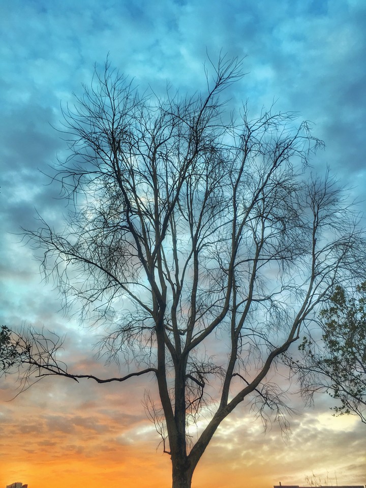 dusk till down